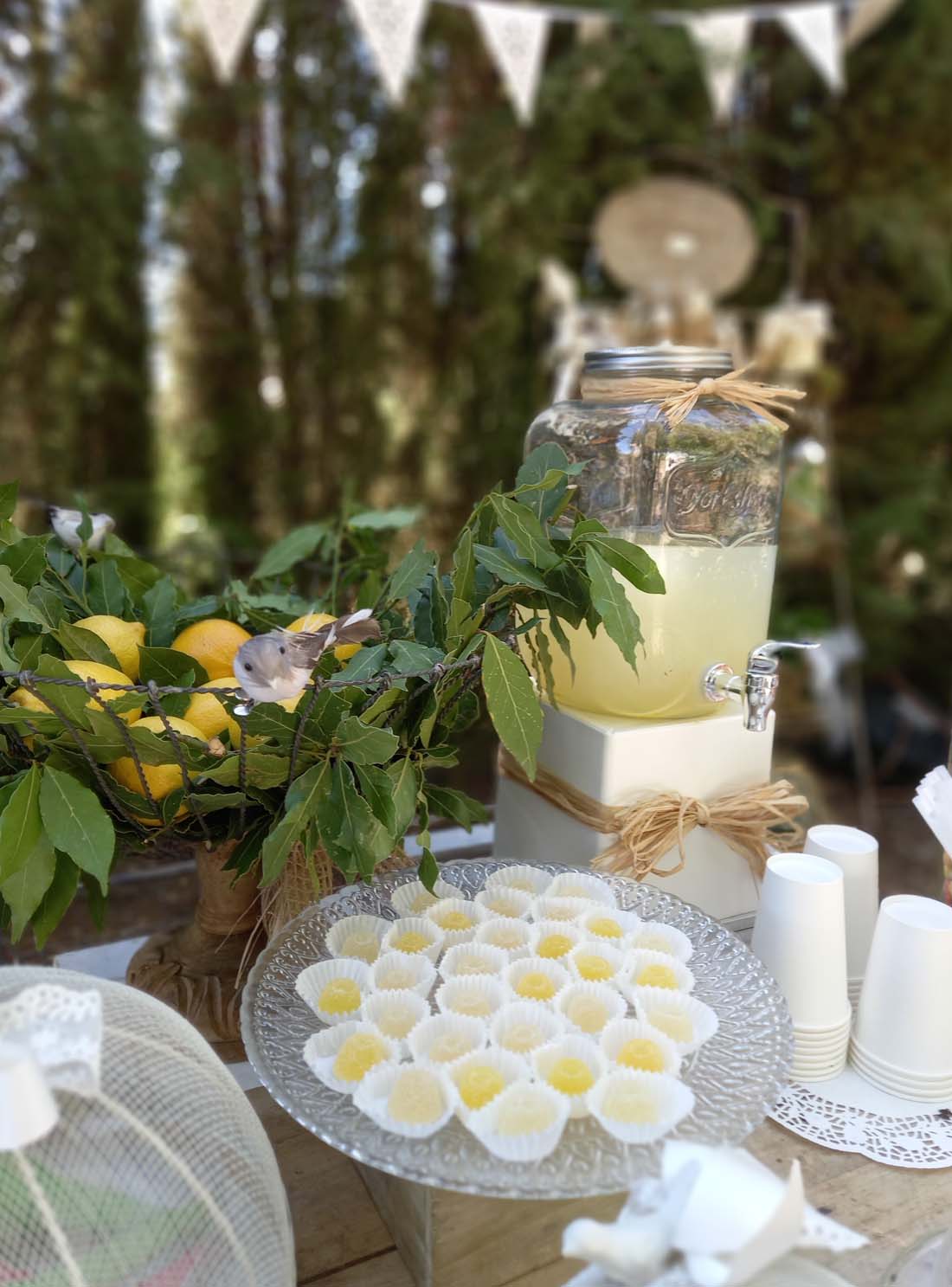 flores para eventos verde tierra floristería ayora valencia flores para eventos verde tierra floristería ayora valencia