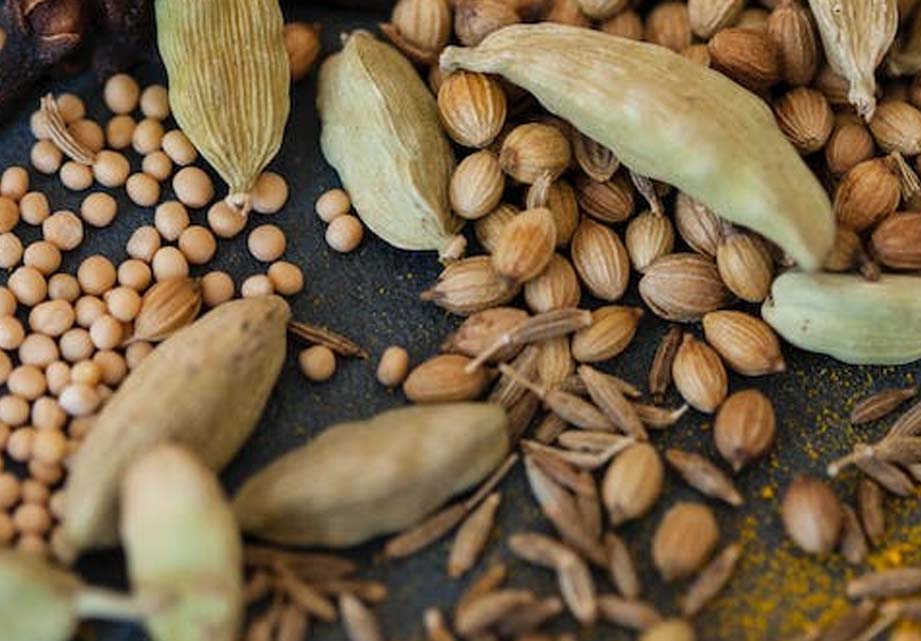 Semillas en nuestra tienda online Verde Tierra Floristería Comercio al por menor de flores, plantas, semillas, fertilizantes, animales de compañía y alimentos para los mismos en Ayora, Valencia Semillas en nuestra tienda online